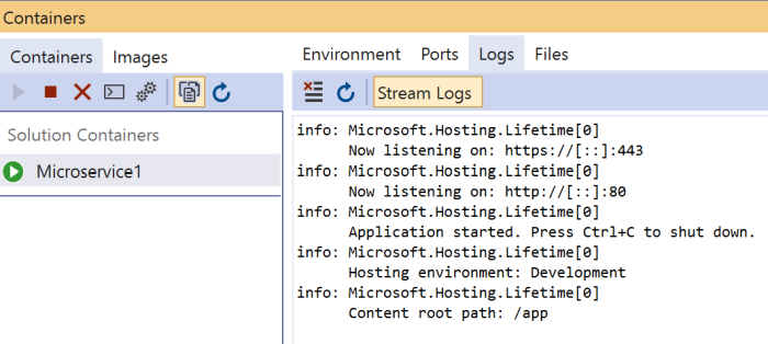 Visual Studio Container Window
